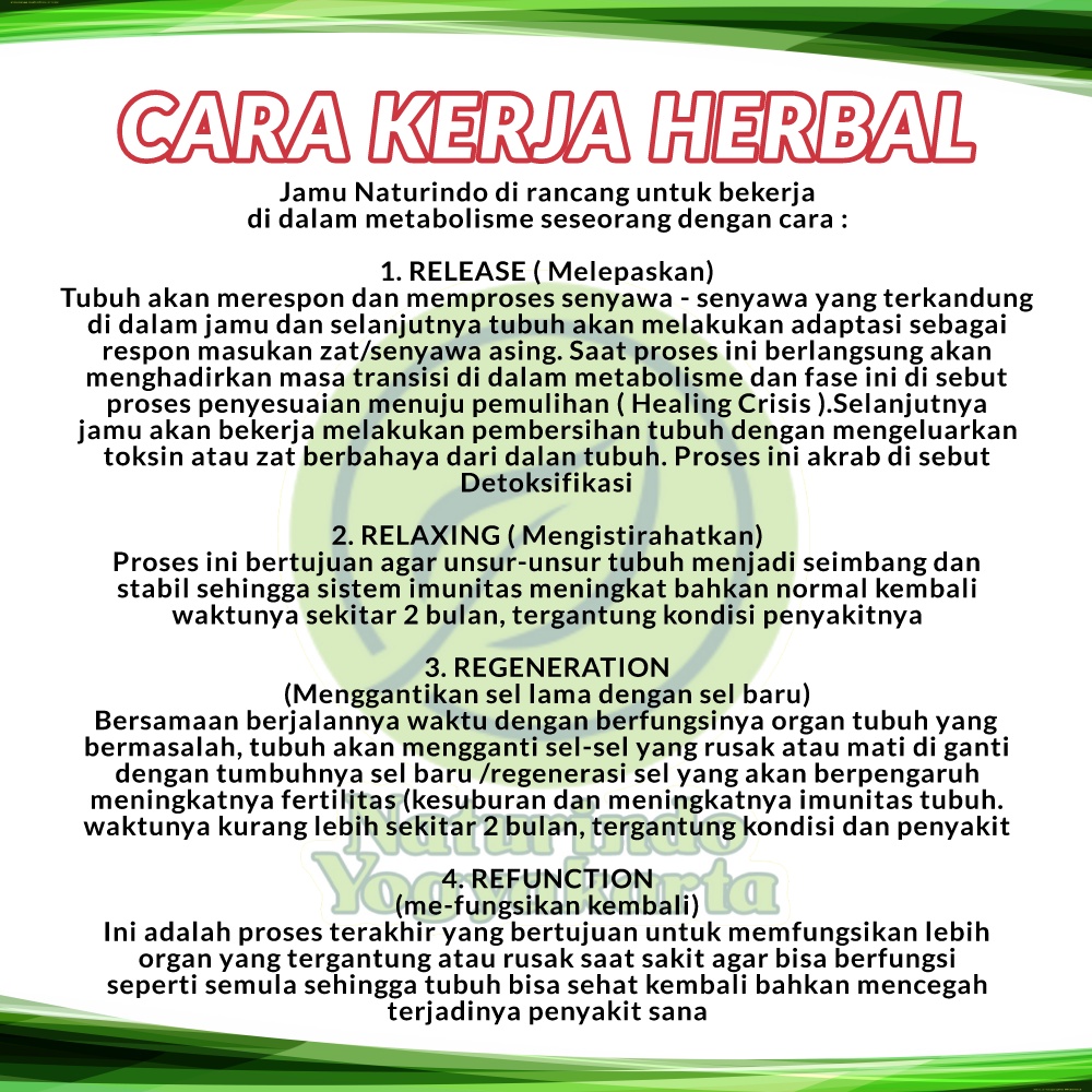 Obat Asam Lambung Maag Kronis Begah Sendawa Obat Herbal Sakit Maag Obat Asam Lambung Maag Kronis Obat Lambung Ampuh BPOM MUI Herbal MUCOSAFIT Naturindo Yogyakarta Jamu Tradisional Alami Terdaftar BPOM bisa COD Isi 40 Kapsul-6