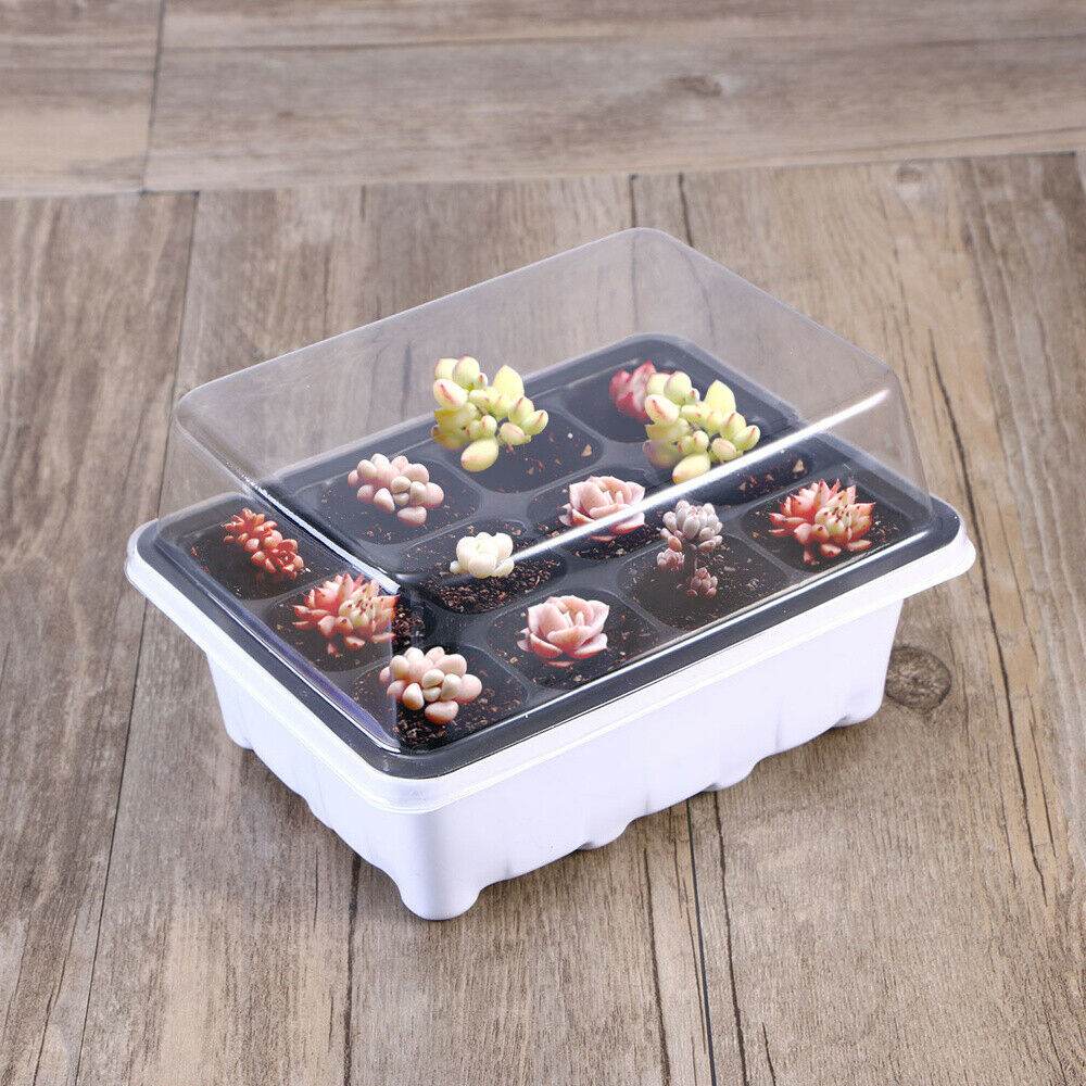 6/12 Holes Seedling Trays Seed Starter Starter Plant Flower Grow Seed Tray Box/Propagation For Gardening Grow Starting Germination Plastic Nursery Pots