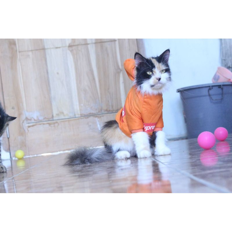 Kaos hoodie supreme kode #001 lucu untuk kucing &amp; anjing / baju jersey bola size S-XL