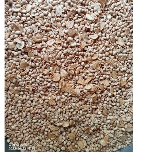 

HARGA TERMURAH 9636 KACANGBAWANG500GRAM /ASINRENYAHGURIHMURAH ㅉ