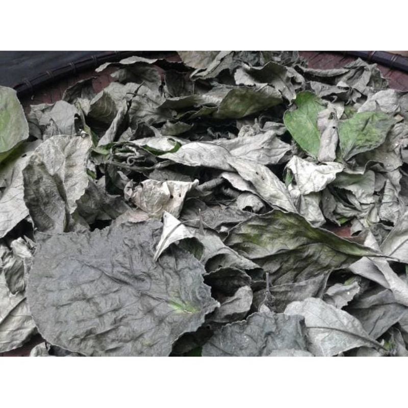 Daun keji beling pecah beling kibeling 500 gram