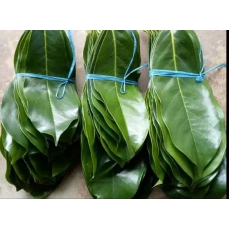 

Daun sirsak segar 500gram