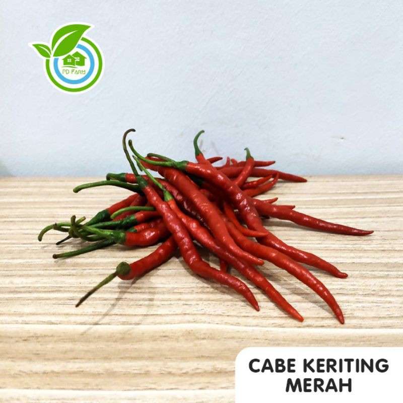 

Cabe Merah Keriting (250gram)
