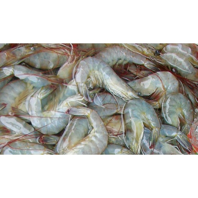 

Udang Vaname 500 gram SAYUR ONLINE BANDUNG | PESAN ANTAR FRESH