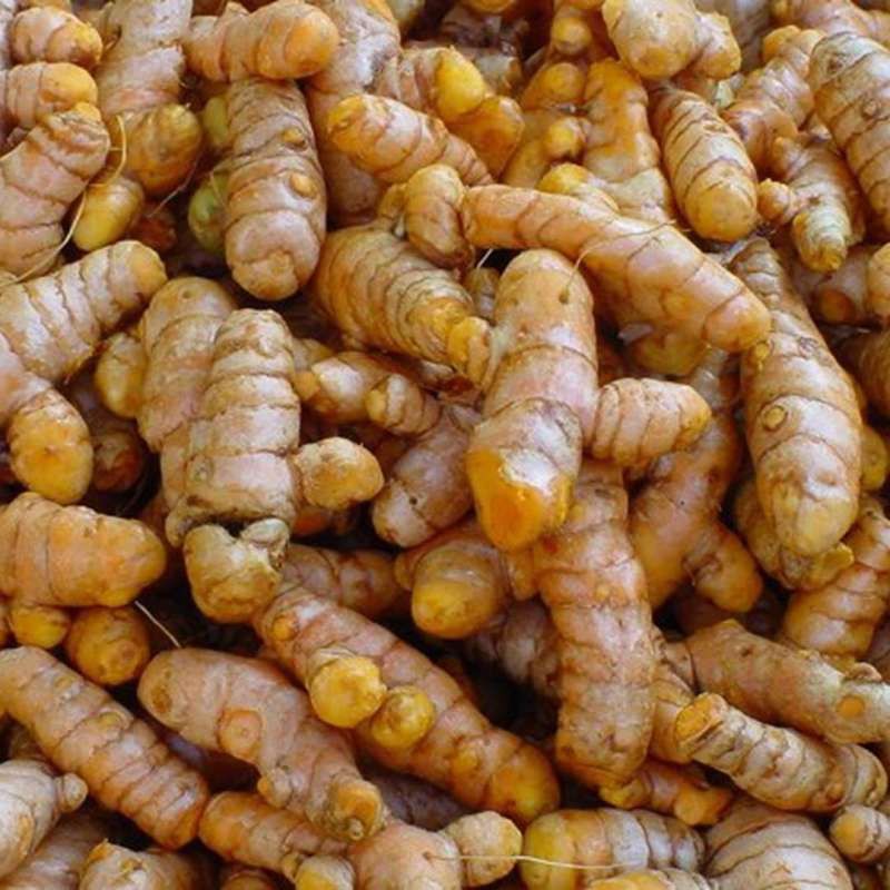 

Bumbu Dapur Kunyit Rempah Rempah Bumbu Dapur Jakarta