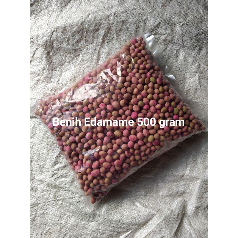 Benih Edamame / Kedelai Jepang 500 gram