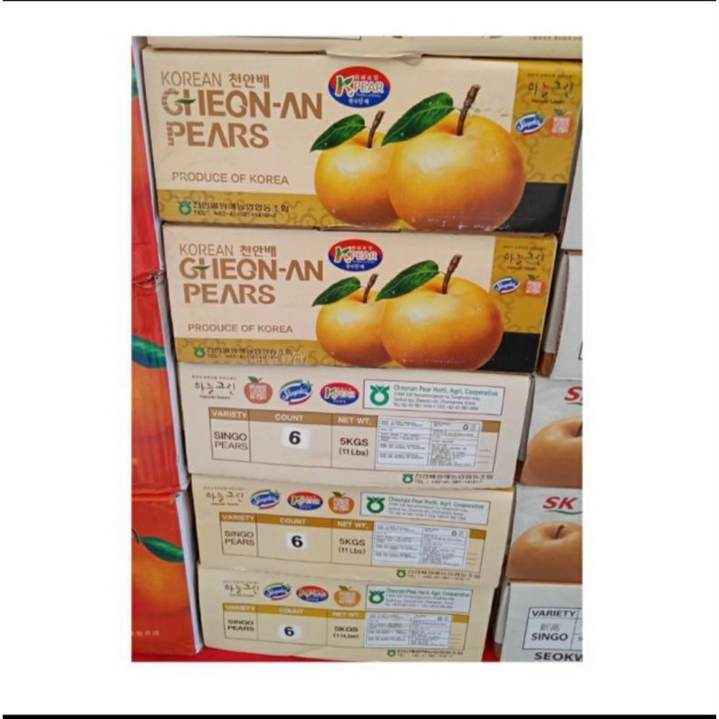 

Pear Korea jumbo original 6 pcs | box | 5 kg