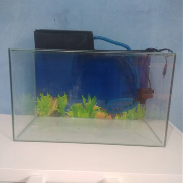 Aquarium 60cm X 30cm X 35cm Dan Mesin Filter Komplit Besar