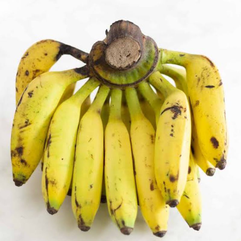 

PISANG ULI