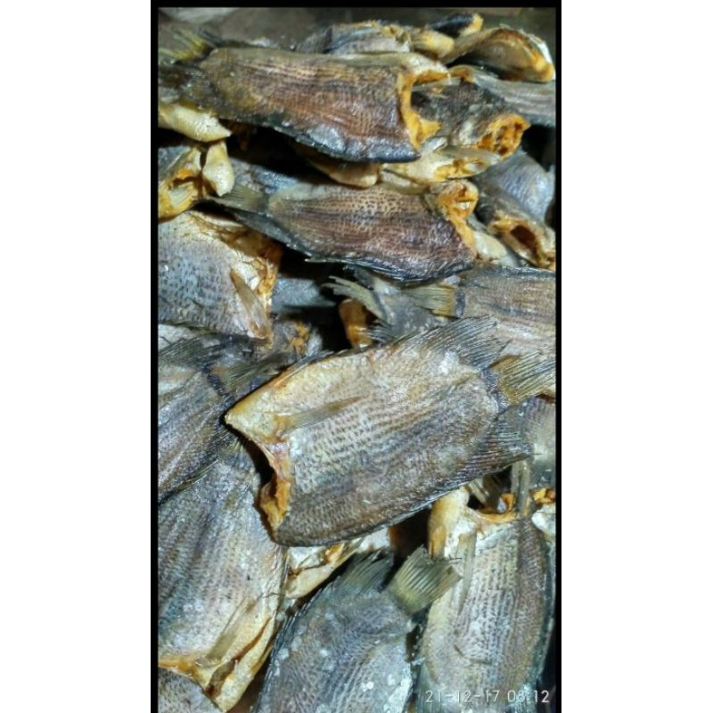 

Ikan Asin Tembakang 1 Kg