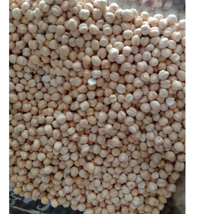 

Flash Sale Kacang arab super 1kg | NEW | REBORN | Rilis | New event