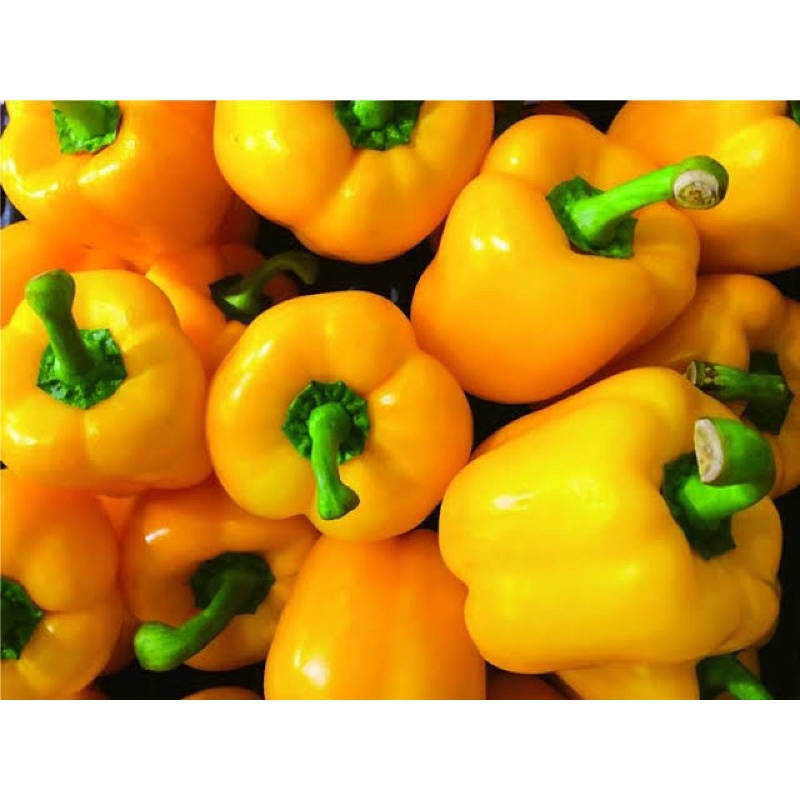 

Paprika kuning
