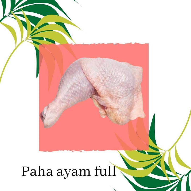 

paha ayam utuh