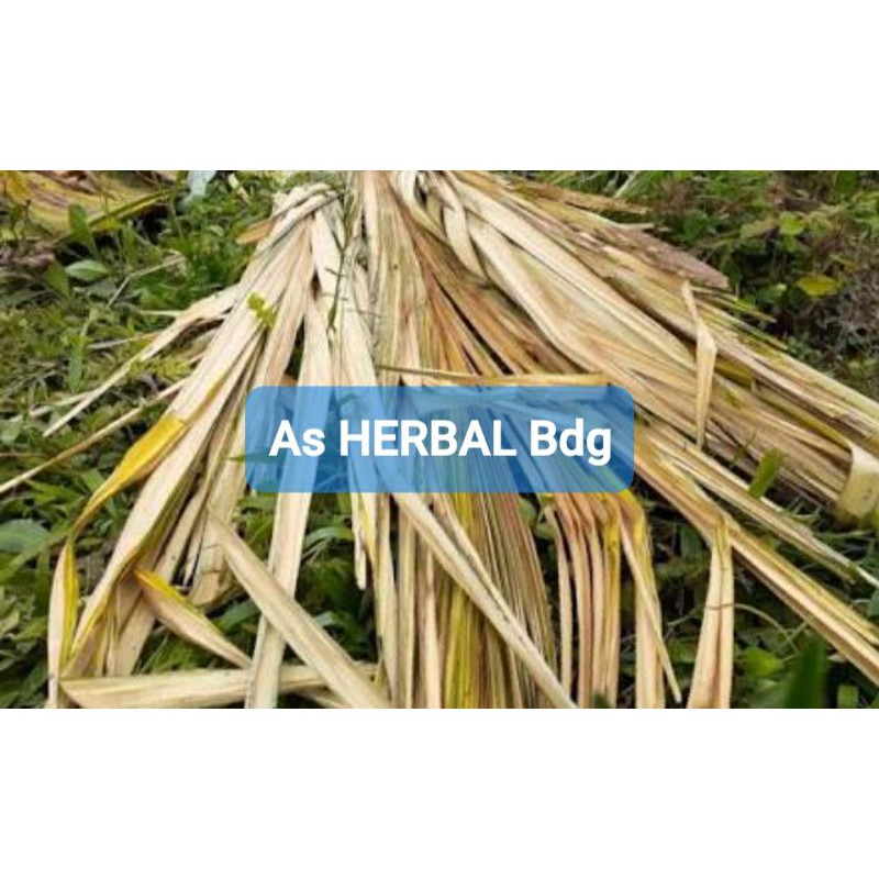

Daun pohon aren muda 700 gram per ikat-az