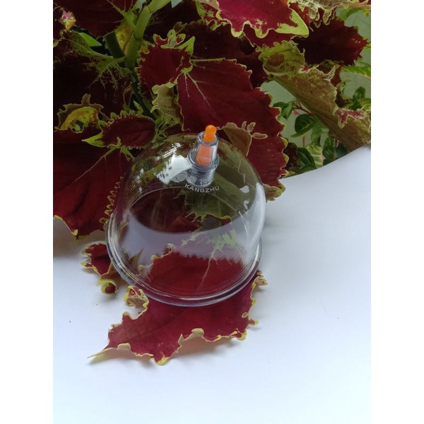 Kop bekam Kangzhu B1,B2,B3,B4,B5,B6,B7,B8 eceran (satuan) / Kop kangzhu Bijian