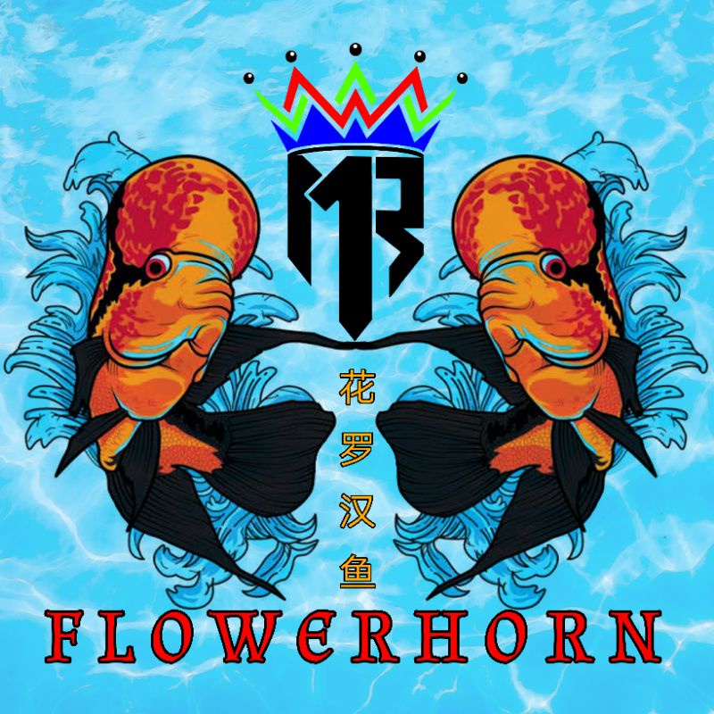 Pengganti Pregnyl Hormon Injeksi atau Serbuk untuk Jenong  Louhan Kamfa Cencu Srd dll