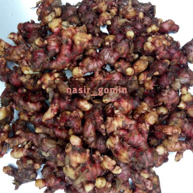 

Jahe Merah SEGAR 500 gram