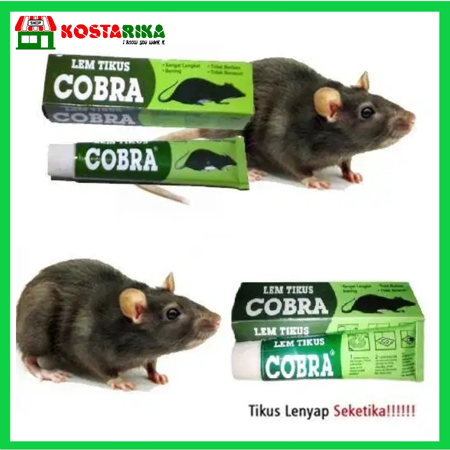 LEM TIKUS COBRA PALING LENGKET