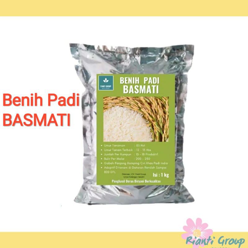 Benih Padi Basmati / Bibit Padi India Pakistan