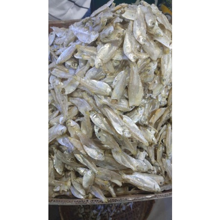 

Ikan Sampah Hase hase/Ikan Asin Hase Hase 500g