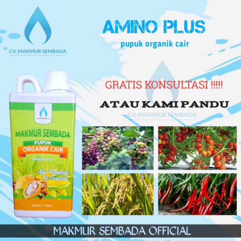 PUPUK ORGANIK CAIR ASAM AMINO PLUS 1 LITER POC PENYUBUR TANAMAN HIAS BUAH PERTANIAN ANTI STRES MAKMU