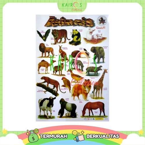 Poster Anak Edukasi Belajar Animal Binatang