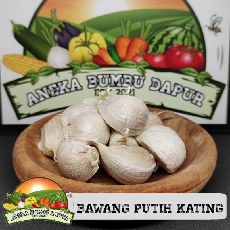 

bawang putih kating