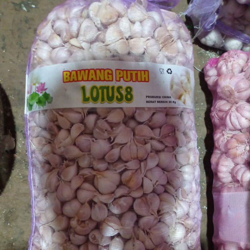 

bawang Kating Bersih