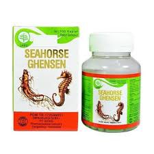 SEHAT GINJAL SEA HORSE KIDNEY OBAT ginjal obat sakit pinggang