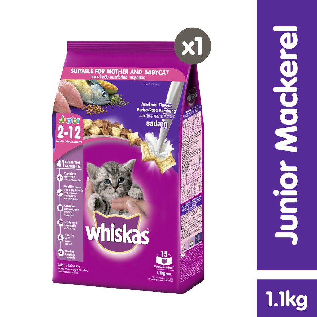 WHISKAS® Makanan Kucing Kering Junior 1.1kg-Mackerel