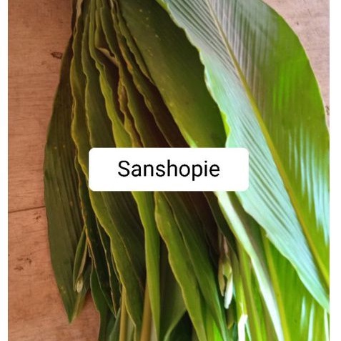 

Daun renggak weresah atau hangasa segar 1 kg