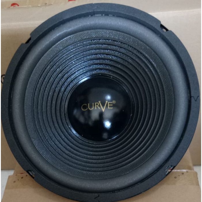 SPEAKER 10 INCH WOOFER CURVE 25H100SUWPP 300 WATT