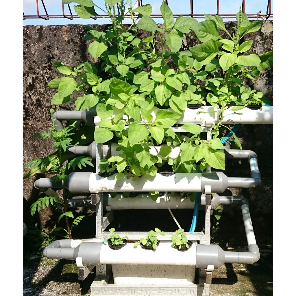 Paket Hidroponik - Hydroponic Set Komplit DFT - NFT S