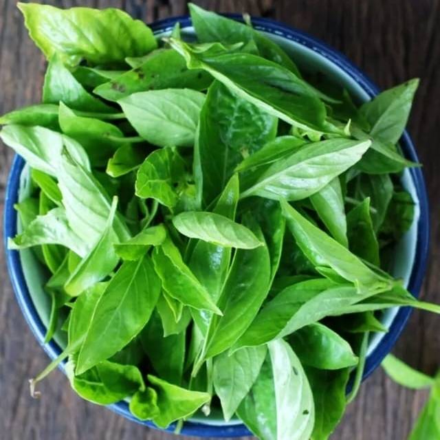 

Daun kemangi