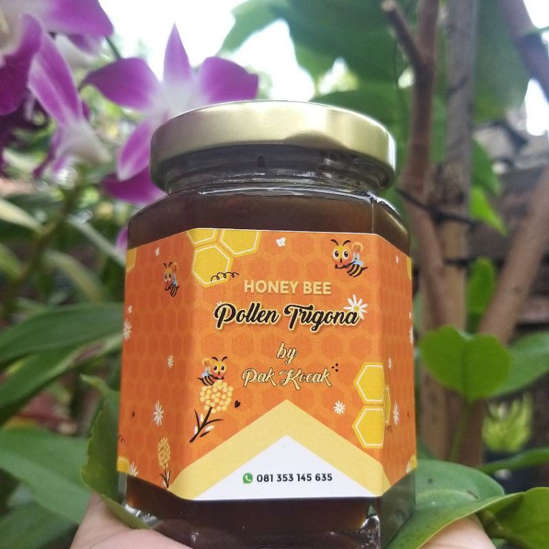 

madu hutan lebah trigona