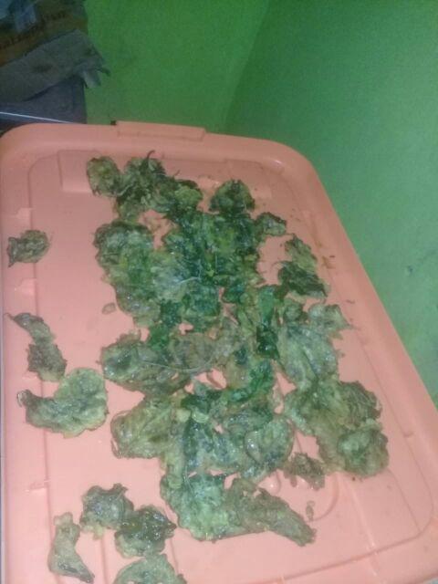 Gamis Batik Mega Mendung, Cendrawasih