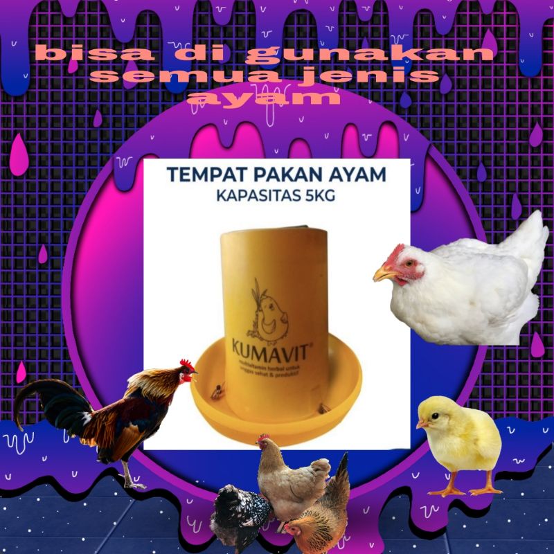 tempat makan 5 kilo dispenser ransum ayam burung wadah pakan tidak berantakan