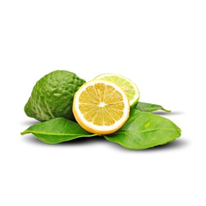 Fragrance Oil Bergamot