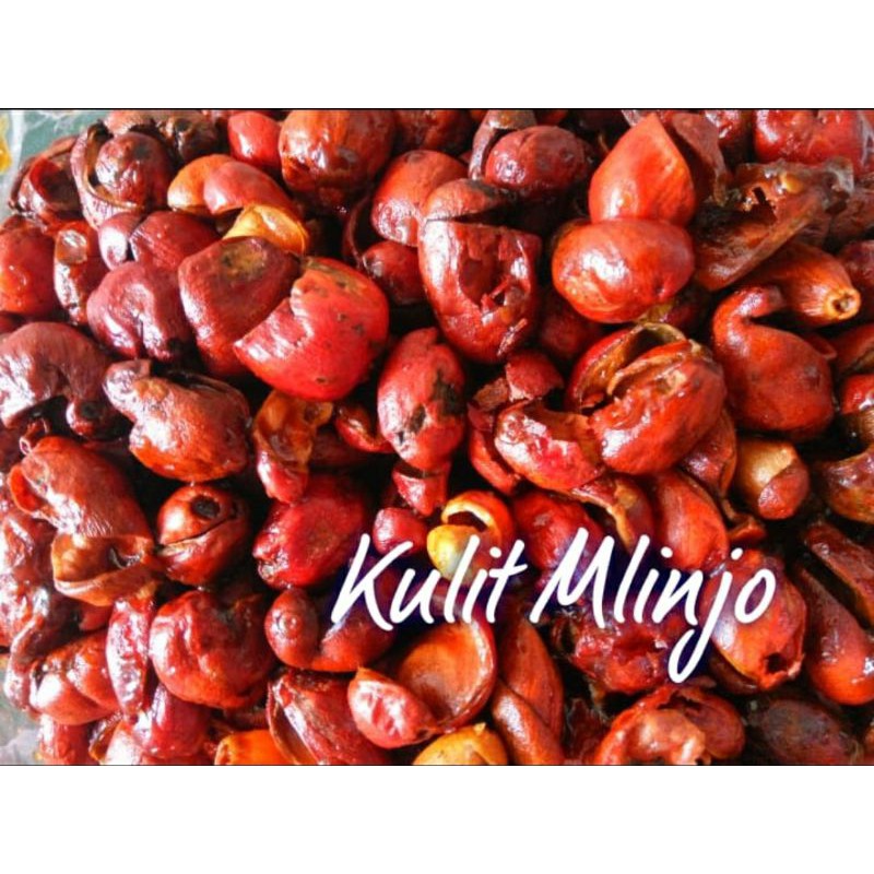 

keripik kulit melinjo / belinjo pedas manis 500gr