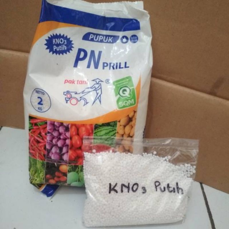 pupuk penyubur pelebar dan penebal daun dan akar kno 03 putih,,ukuran 200g