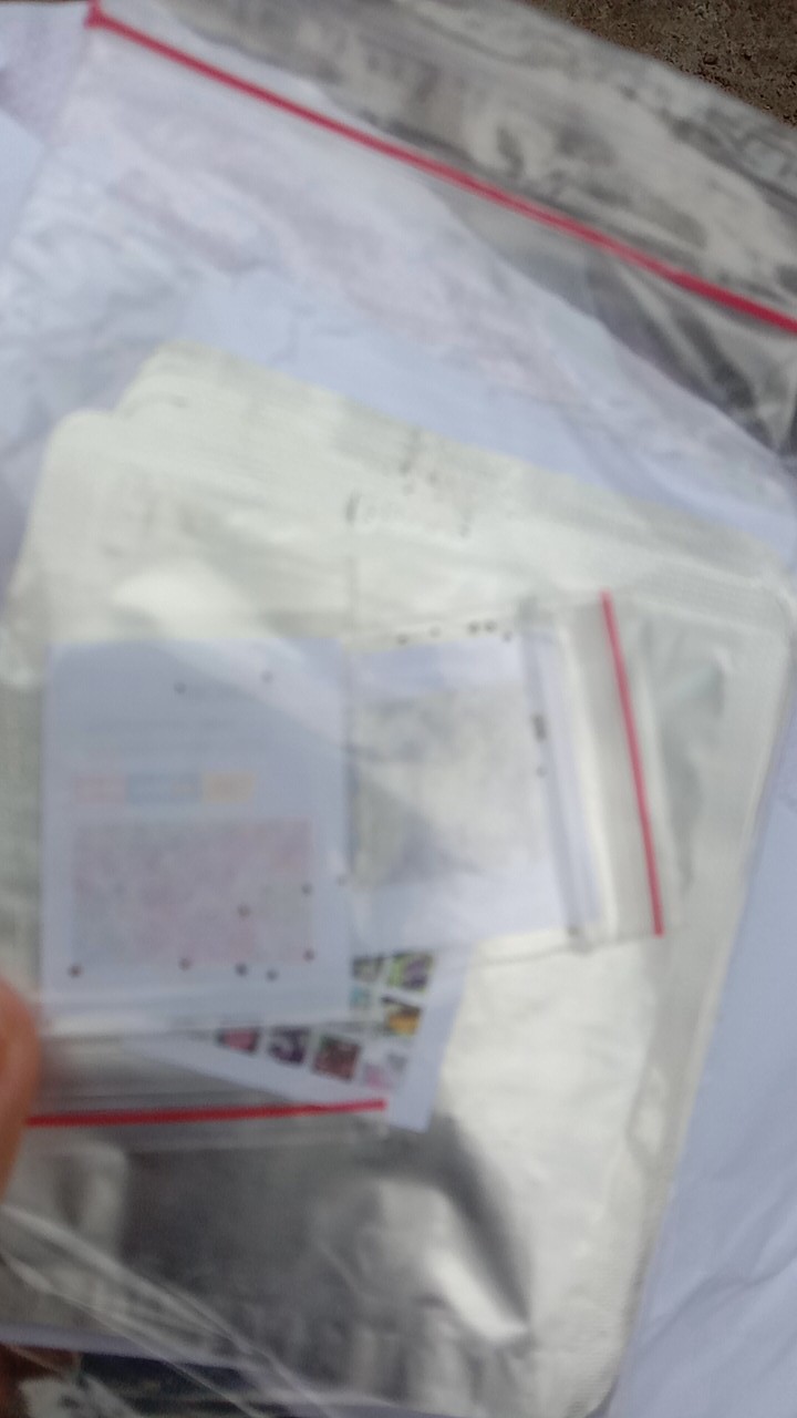 (36 Seeds) Biji Benih Bunga Mawar 36 Varieties Of Roses Mixed