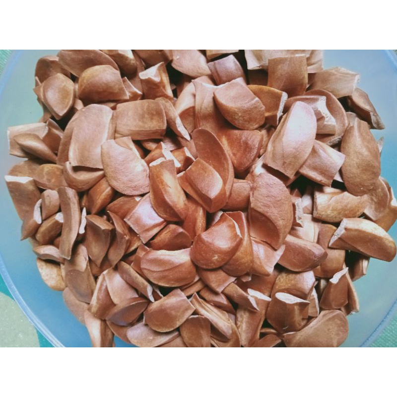 

biji mahoni kering 25 gr