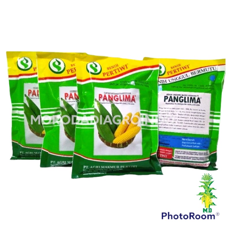 BENIH/BIBIT JAGUNG MANIS PANGLIMA F1 BY PERTIWI 250 GR