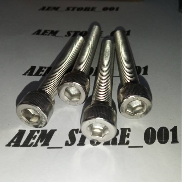 Baut L M10 x 70 (7cm) drat halus 1.25 stainless 304
