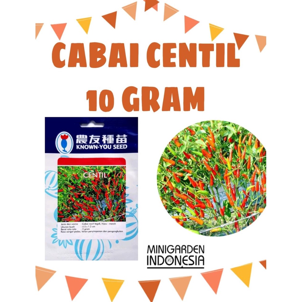 CABAI CENTIL 10 GRAM PACK BESAR benih biji bibit cabai rawit merah f1 cabai rawit hijau cabe hibrida known you seed