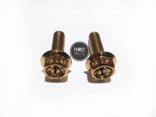 Baut Probolt Breket Kaliper Honda Gold