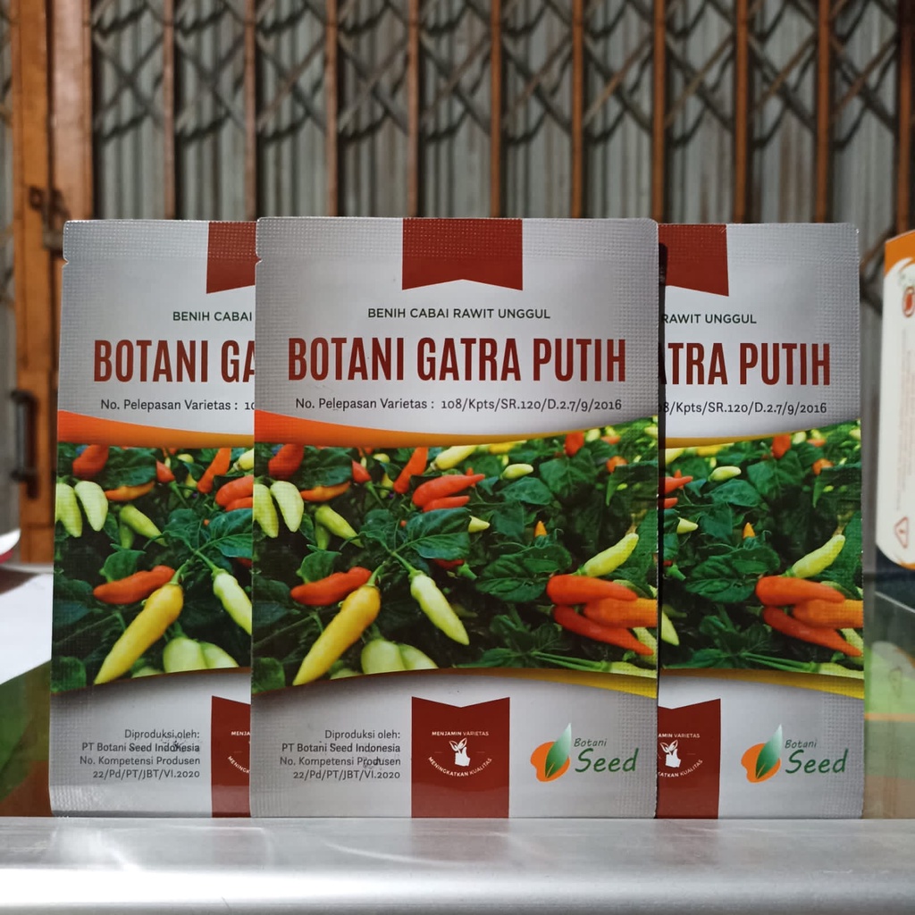 Benih Bibit Cabe cabai Gatra Putih 1 Gr 216 Butir Botani seed