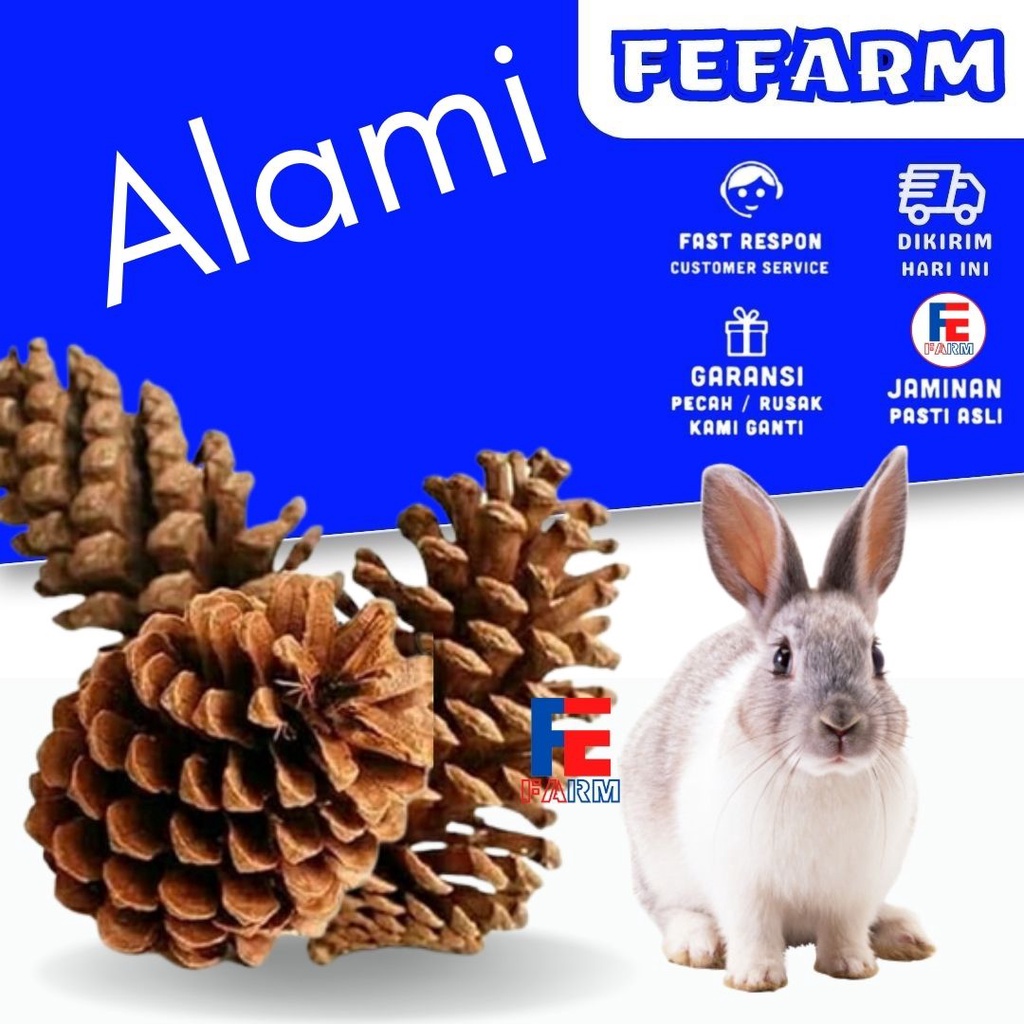 Mainan Gigitan Kelinci Hamster Bisa Untuk Dekorasi Kandang dan Lainnya Murah dan Aestetik FEFARM