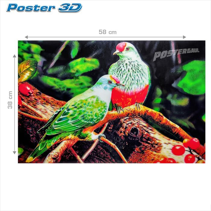 14+ Gambar Fauna Burung