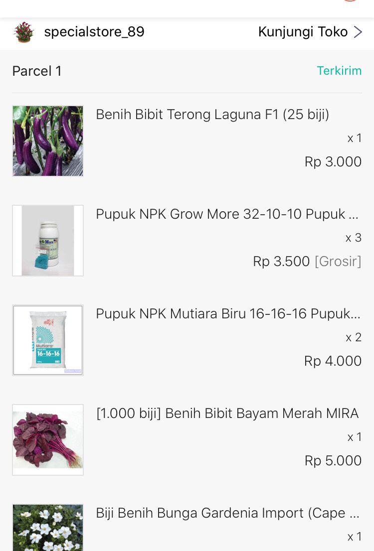 Biji Benih Sayur Bayam Merah